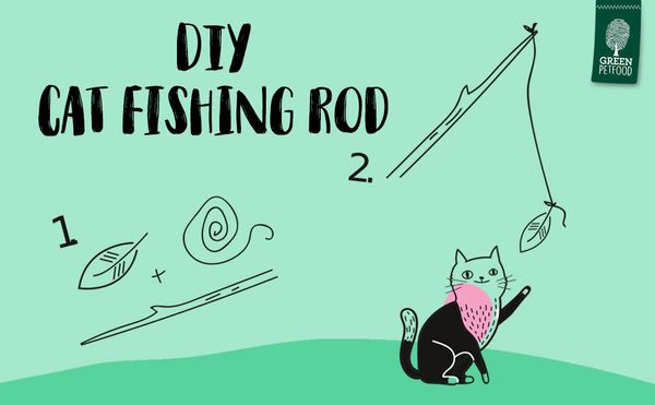 How Do I Make a Diy Cat Toy: Easy, Fun, and Affordable Ideas