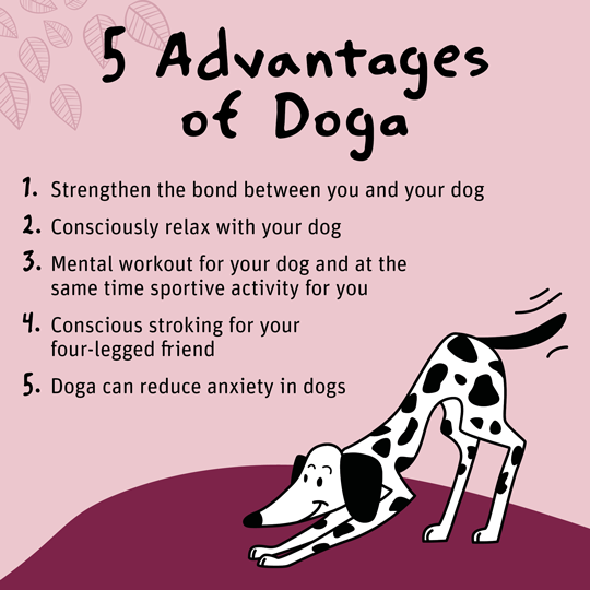 dog-yoga