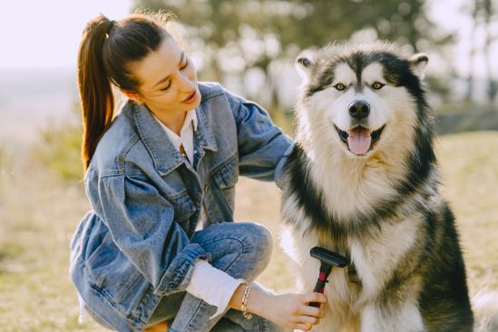 besitzerin-buerstet-hund-an-der-brust